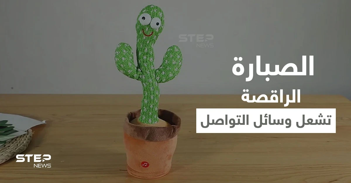 بالفيديو|| ثورة في عالم الألعاب.. الصبارة الراقصة تشعل وسائل التواصل في مصر وتحذيرات من مرض تسببه للأطفال