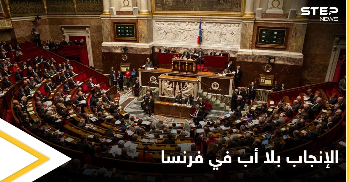 الإنجاب من دون أب.. فرنسا تقر قانوناً يسمح باستخدام المساعدة الطبية للنساء العازبات والمثليات