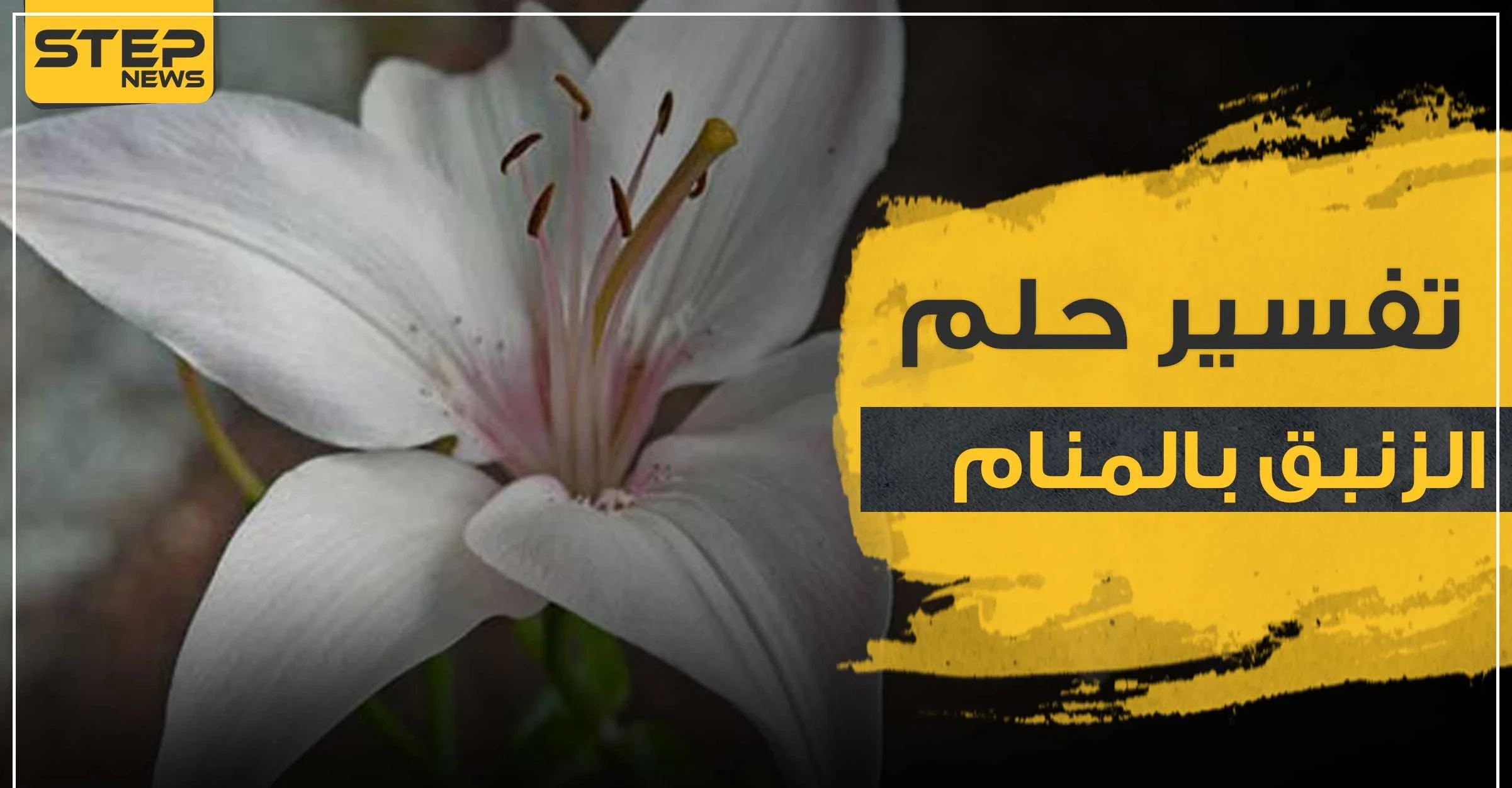 تفسير رؤية زنبق في الحلم والأزهار عموما لجميع أفراد العائلة