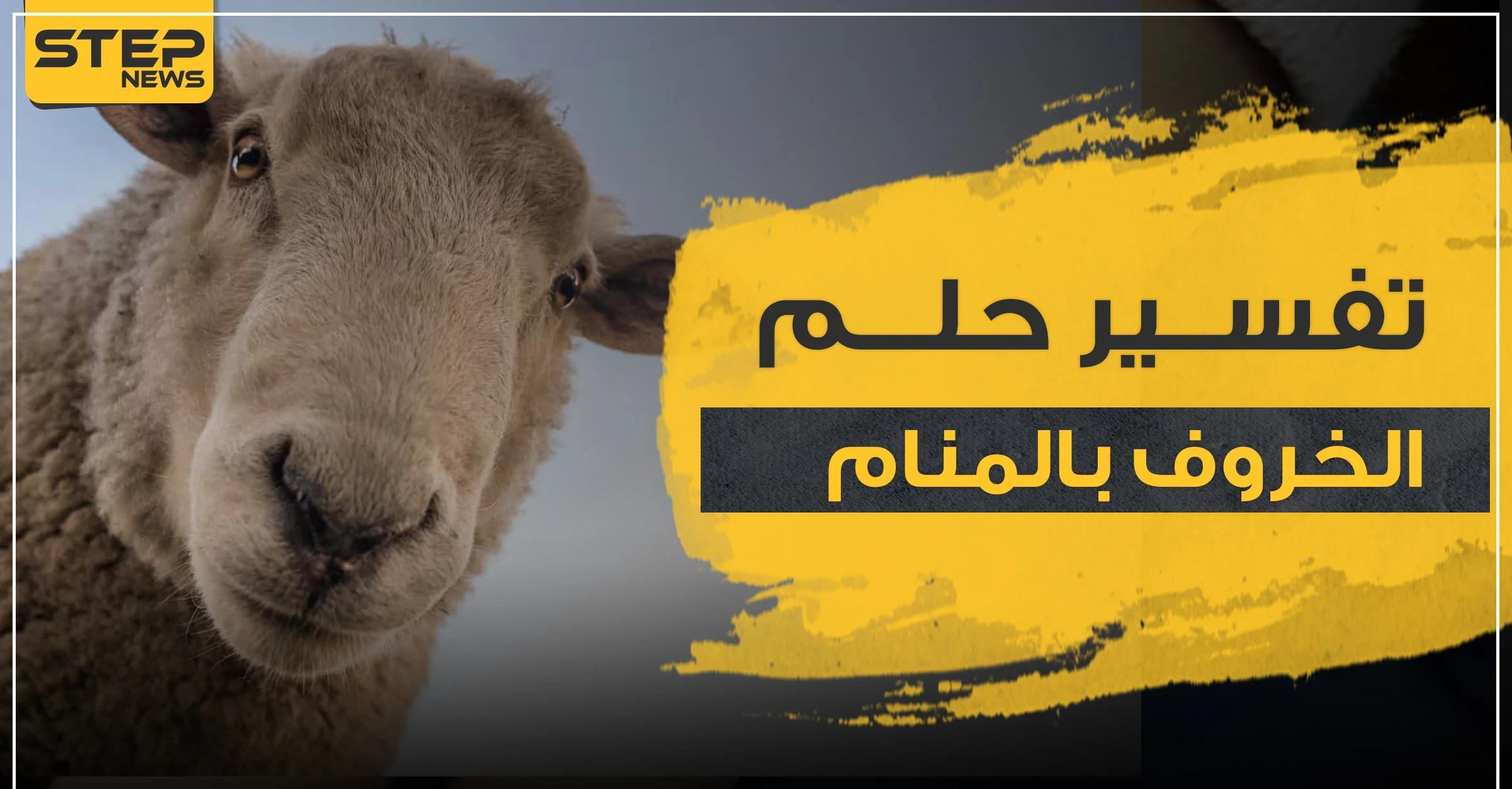 تفسير لحم الخروف بالمنام عند ابن سيرين لجميع أفراد العائلة