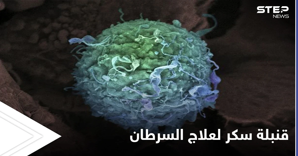 "قنبلة سكر" تقضي على خلايا السرطان في ثوان... آخر ما توصل إليه العلماء لإنقاذ 8 مليون شخص سنوياً من الموت