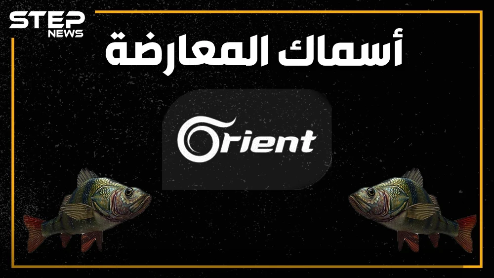 قناة أورينت تحرز ذهبية تبديل المواقف.. و"الجيش الوطني" يتبرأ من نفسه