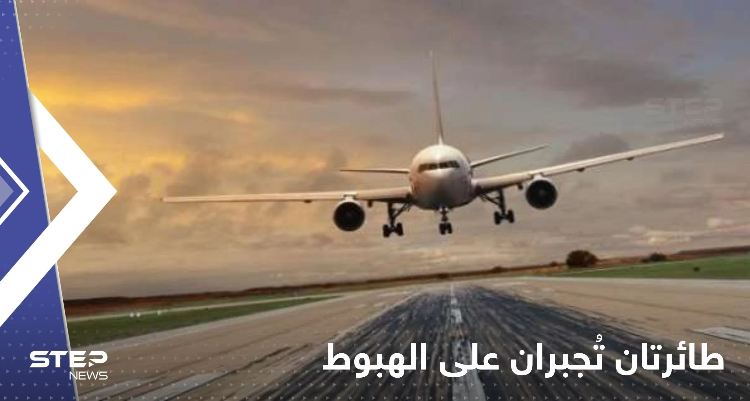 طائرتان تُجبران على الهبوط اضطرارياً بسبب الطيور ونوع من الفاكهة