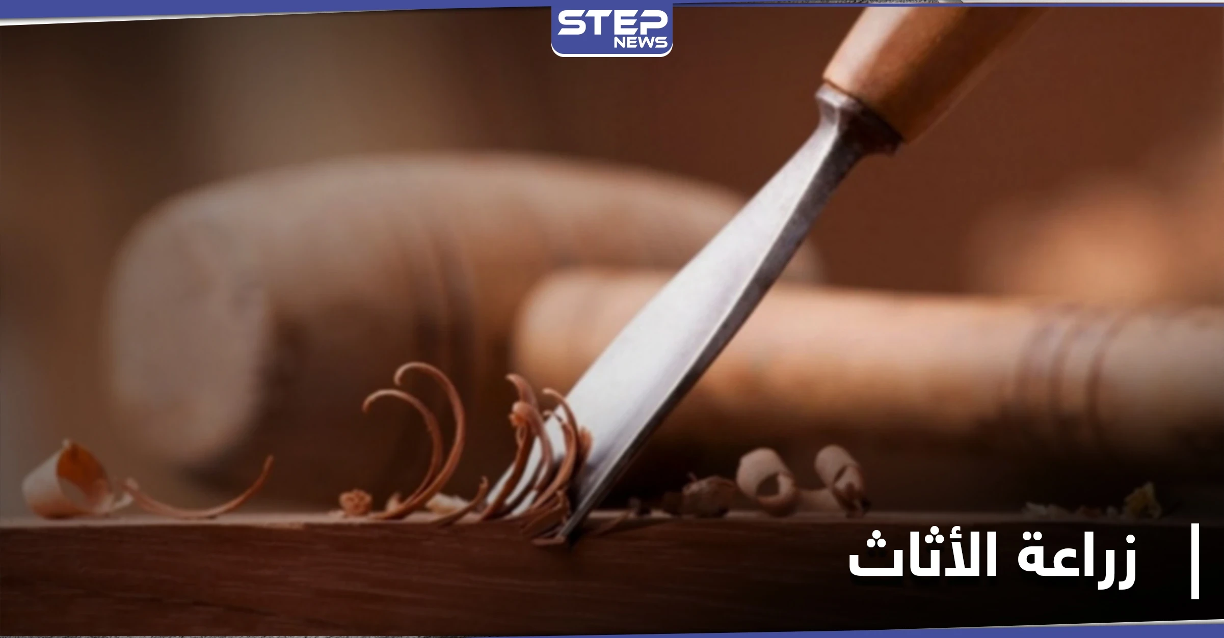 زراعة الأثاث بدل تصنيعه.. دراسة علمية تبدأ تجاربها في المختبرات