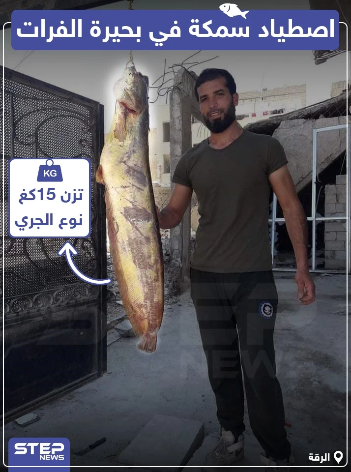 اصطياد سمكة في بحيرة الفرات تزن 15 كغ !