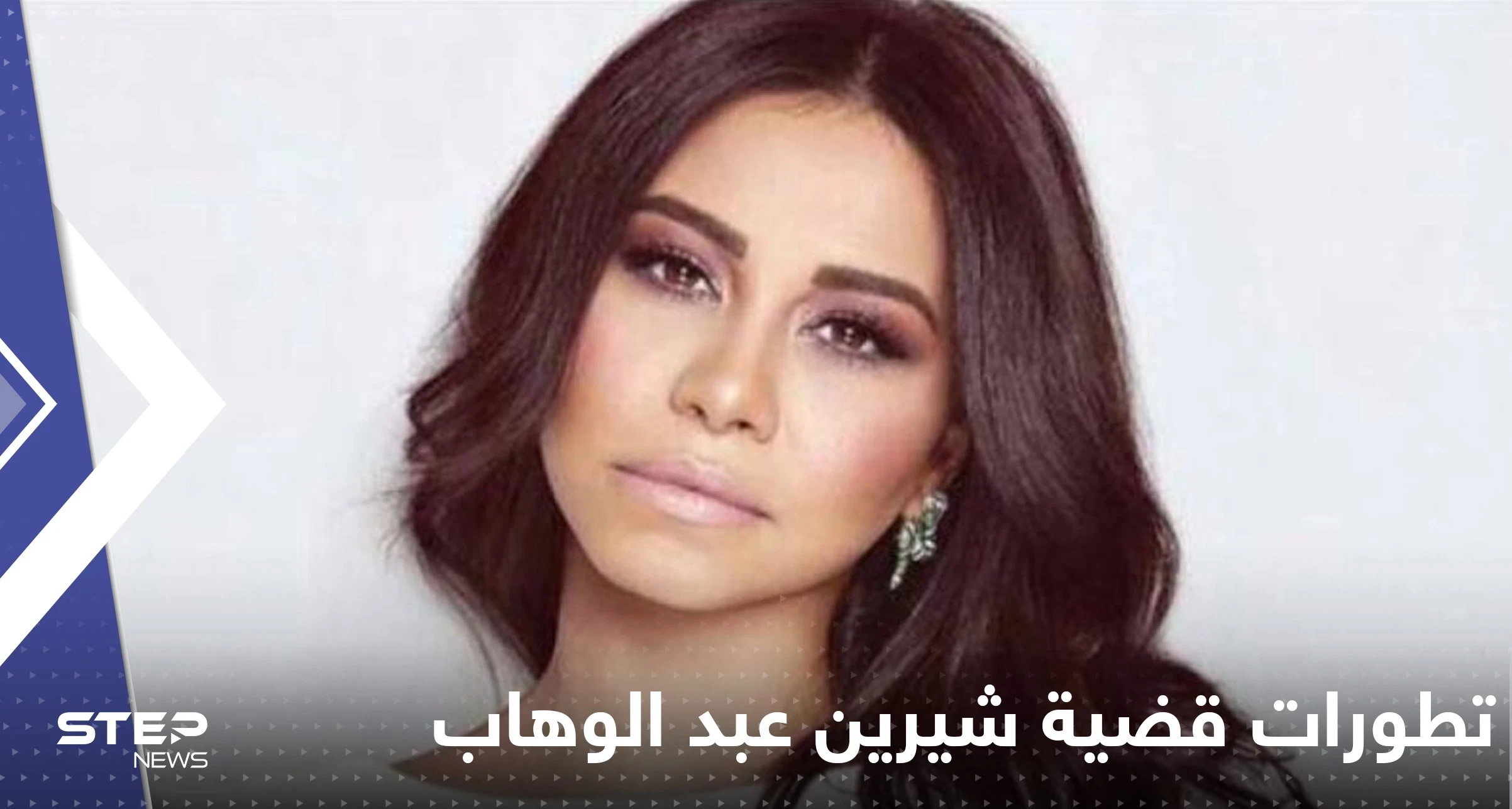 بالفيديو|| والدة شيرين عبد الوهاب تستنجد بالرئيس السيسي وتكشف تفاصيل مثيرة عن حالتها