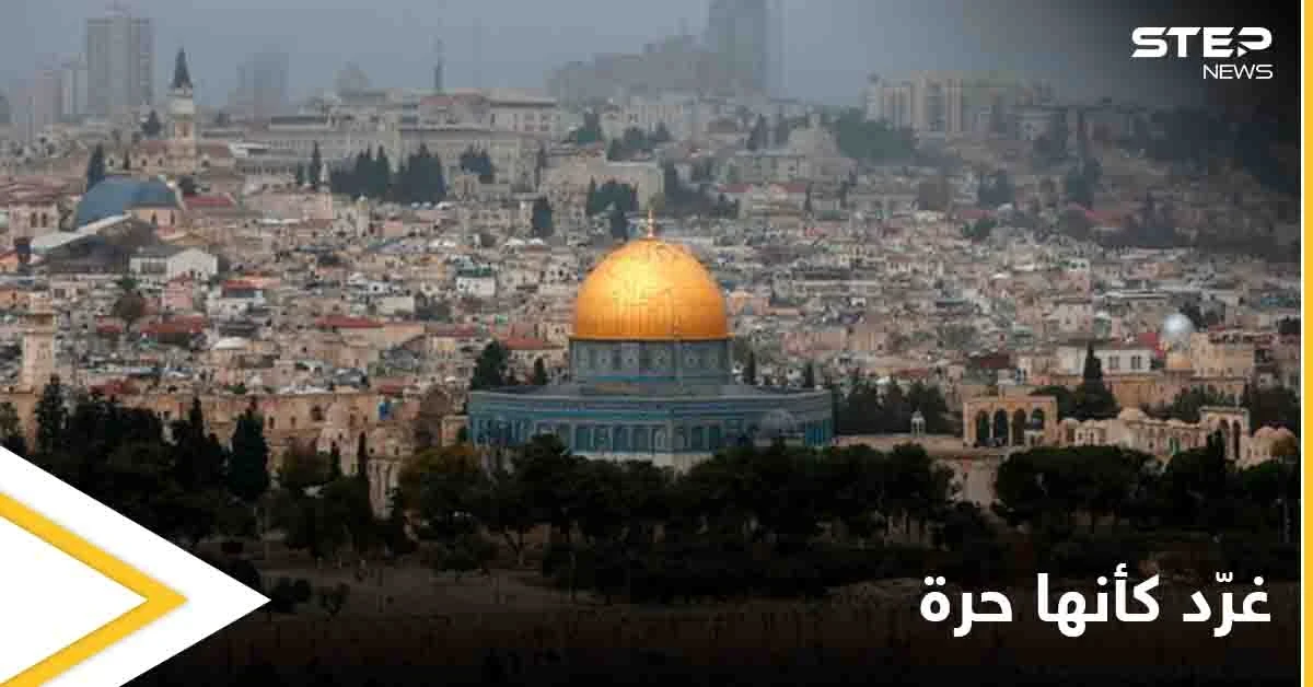 "غرد كأنها حرة" صورٌ من الحياة في فلسطين وأرجائها الحرة يطلقها رواد مواقع التواصل