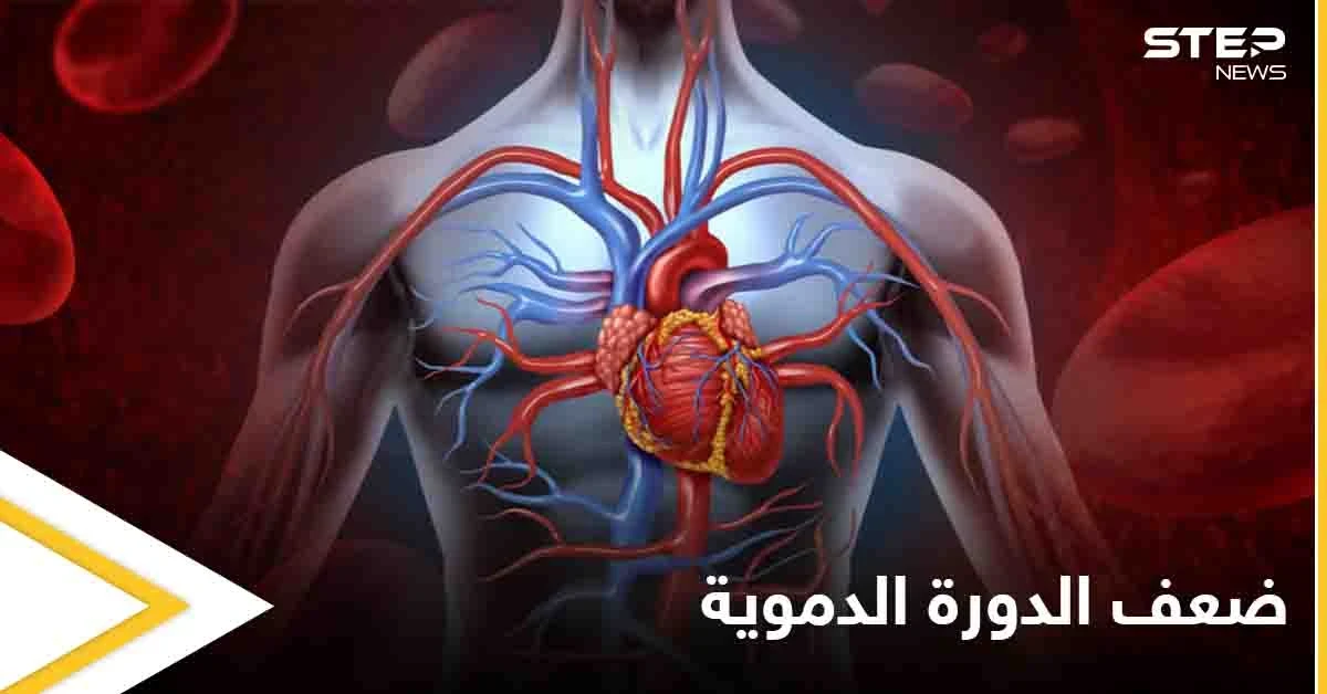 8 علامات وأعراض لضعف الدورة الدموية وأثرها على عمل الكلى وأعضاء أخرى