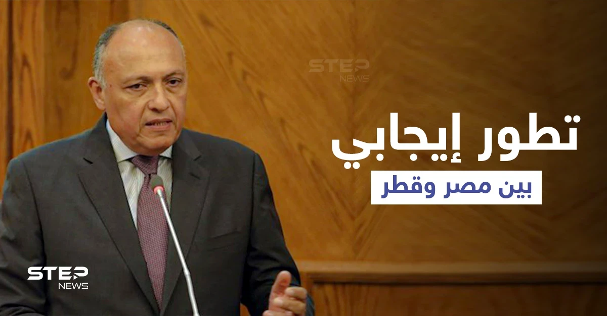 وزير الخارجية المصري يشير إلى "قضايا عالقة" مع تركيا وتطور هام مع قطر