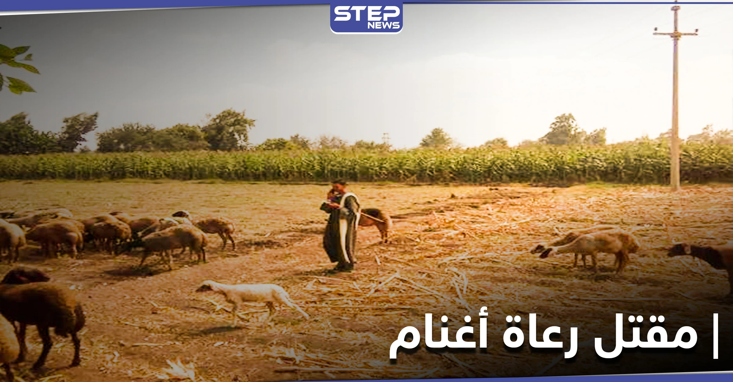مقتل 7 رعاة أغنام في بادية البوكمال.. والميليشيات الإيرانية تراقب بصمت