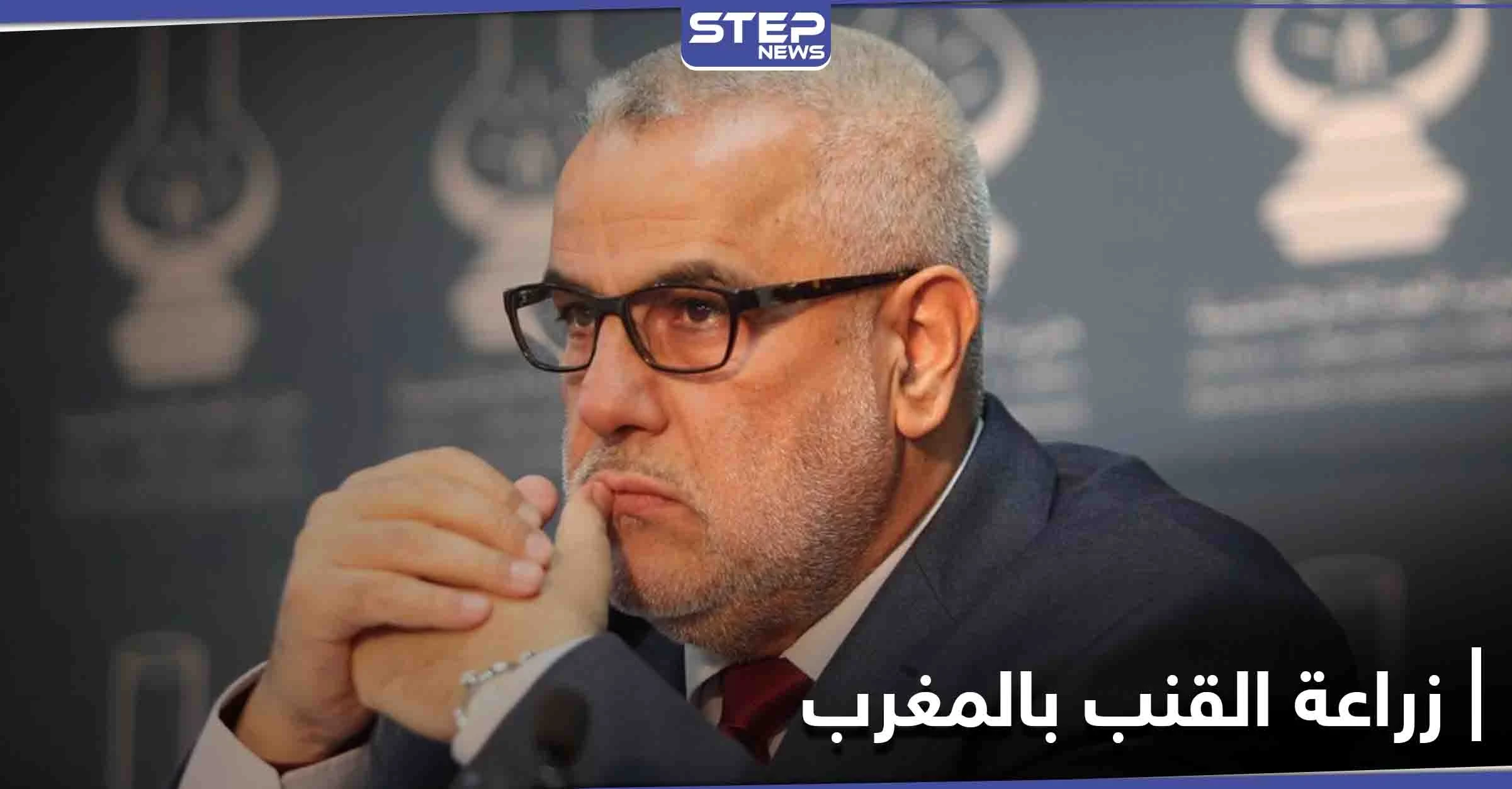 المغرب... بنكيران يعلّق عضويته في "العدالة والتنمية" احتجاجاً على إجازة القنب الهندي