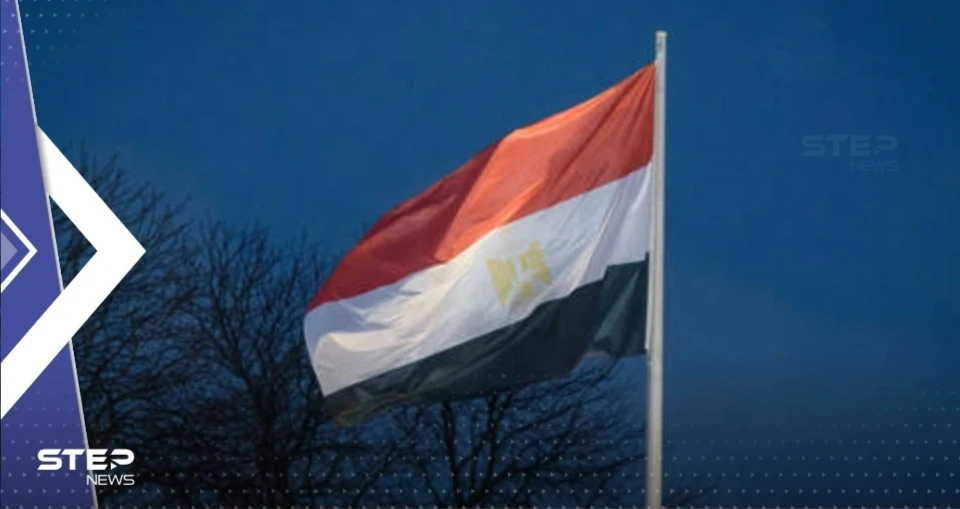 مصر تصدر بياناً بشأن "لحوم محقونة بهرمونات محظورة في البلاد"