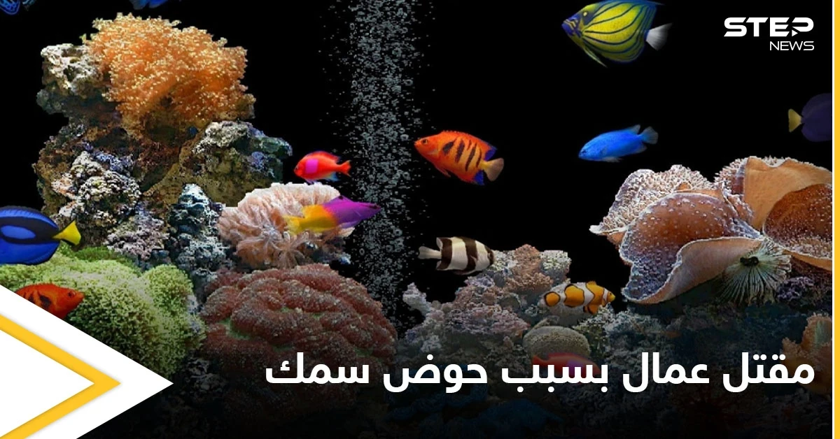 حوض أسماك الزينة يتسبب بمقتل عمال في الإمارات والسلطات تحقق في الحادثة
