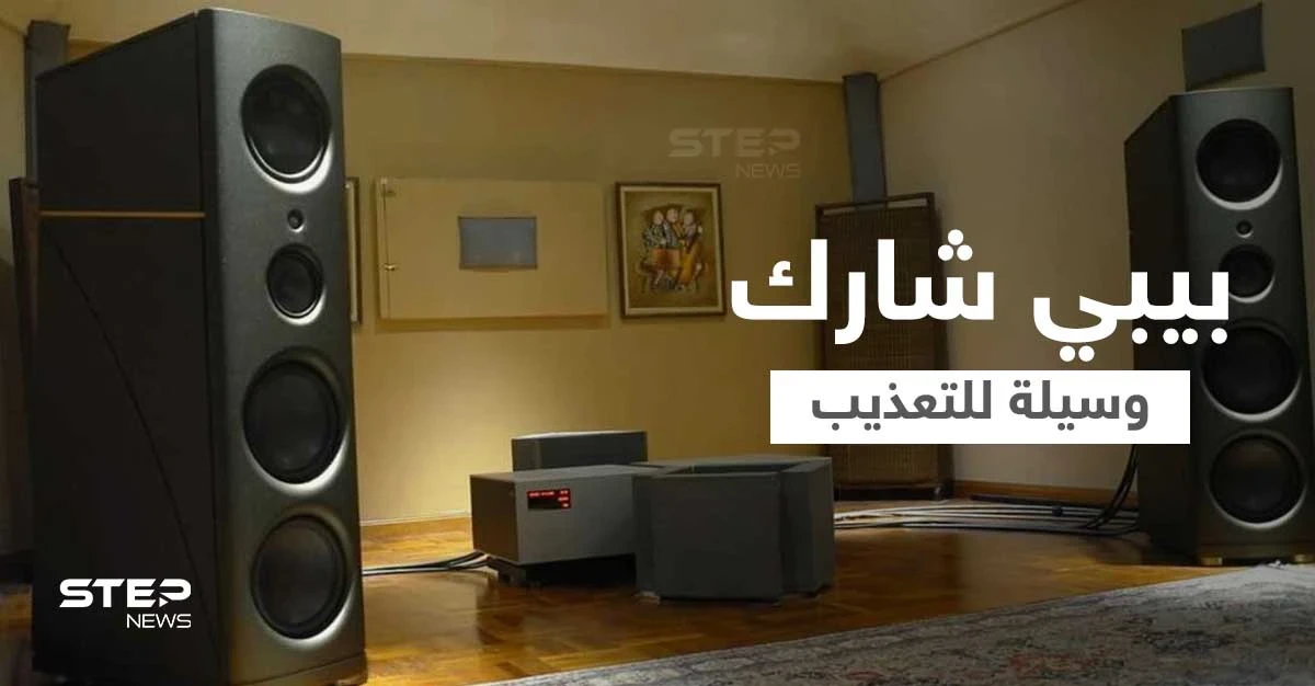 أغنية "بيبي شارك" الشهيرة إحدى وسائل التعذيب... معتقلون يكشفون كيف استخدمت أغنية الأطفال للإساءة إليهم في المعتقلات