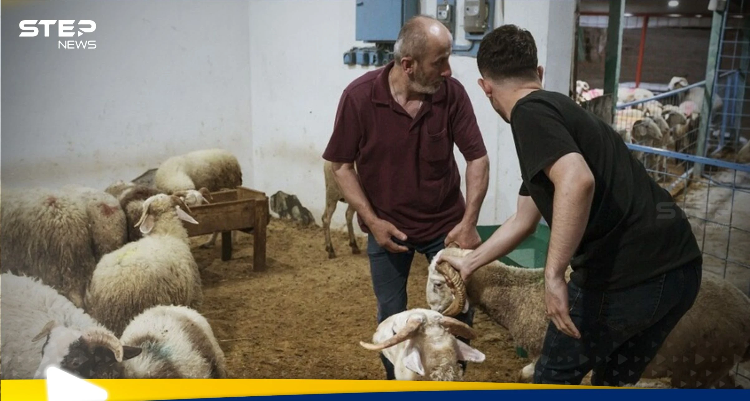 عيد الأضحى: عندما تخرج الأمور عن السيطرة.. تسجيل آلاف الإصابات في تركيا