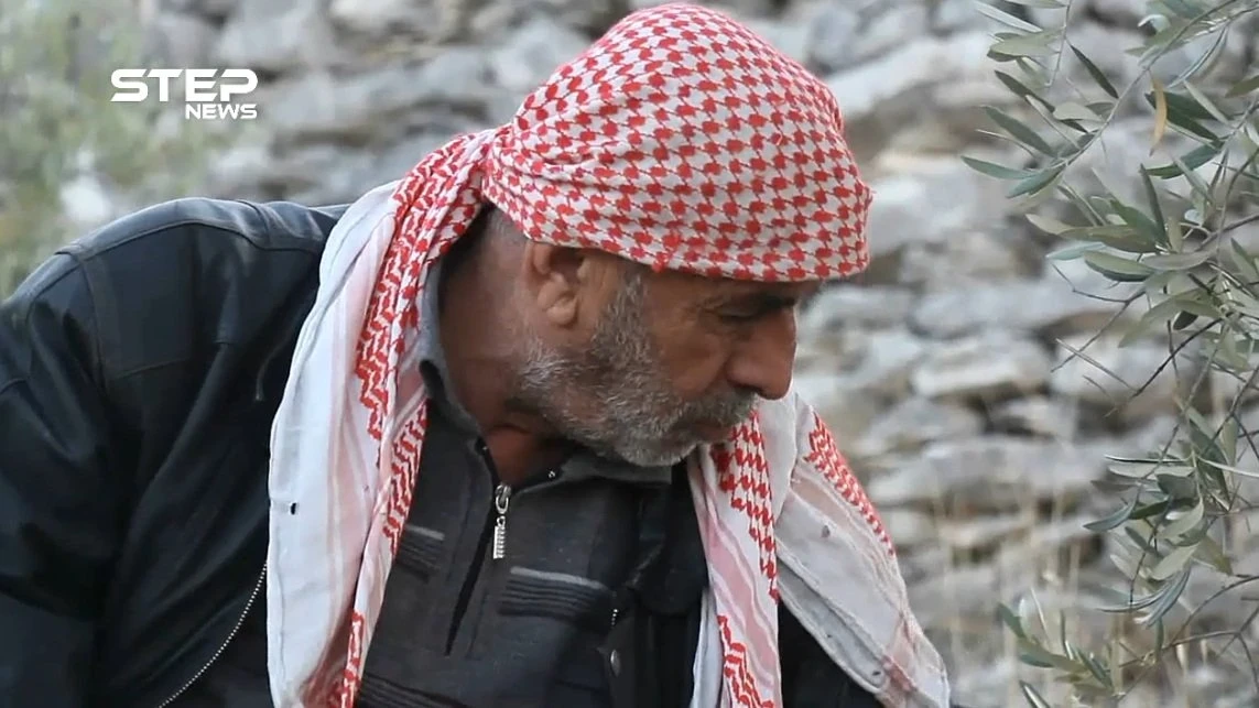 الحاج "نادر" رجل مصاب يتحدى إصابته ويعمل في قطاف الزيتون لتأمين لقمة العيش