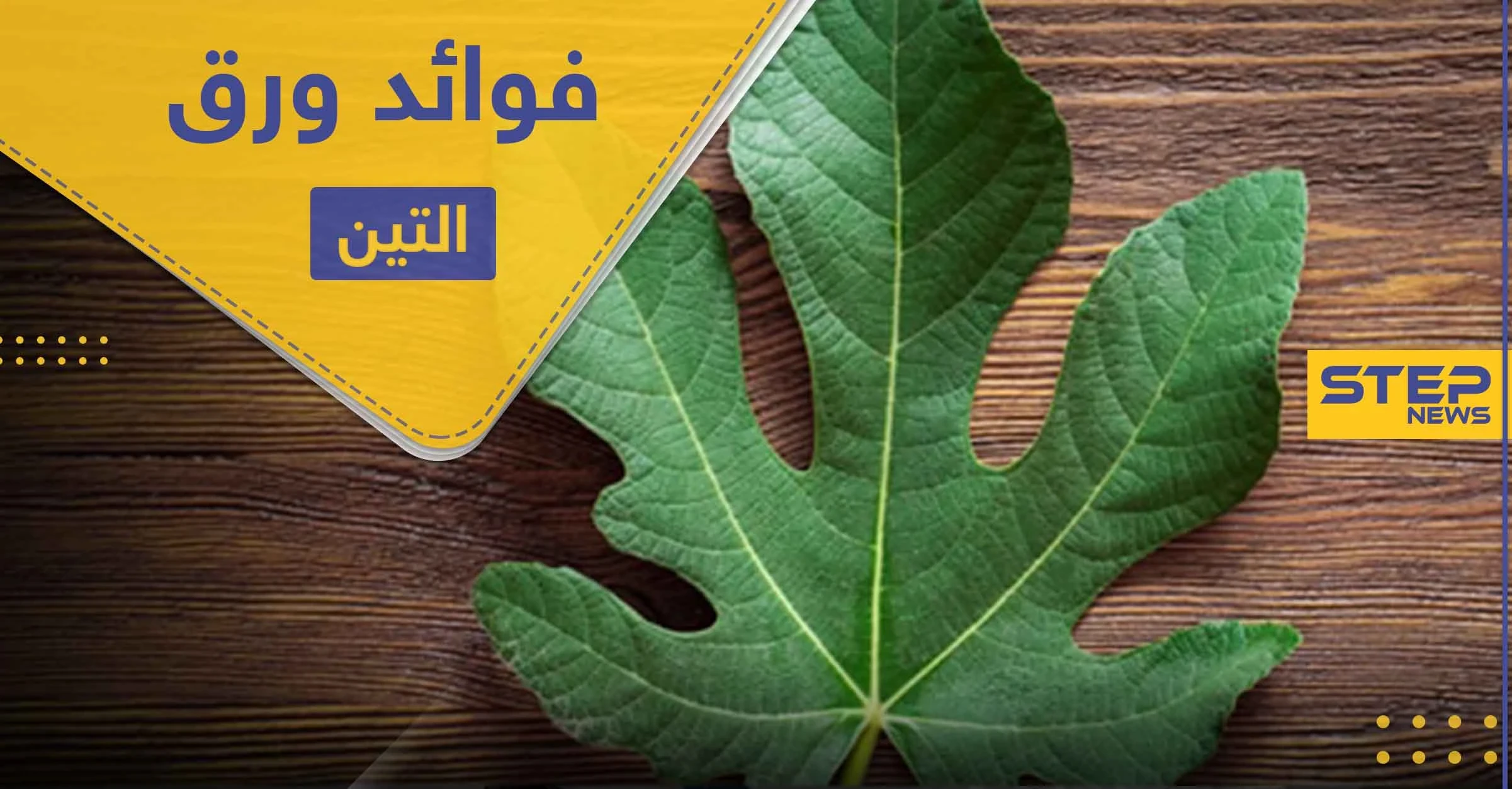 فوائد ورق التين لعلاج السكري والقلب وأعراضه الجانبية