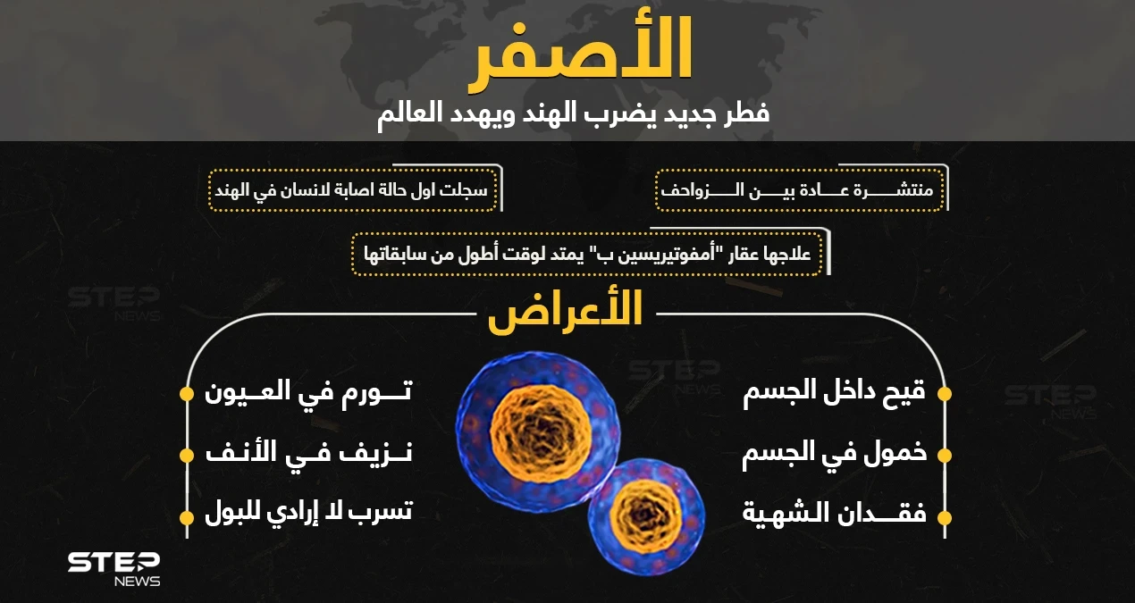 الفطر الأصفر.. خطر جديد يهدد العالم ماذا تعرف عنه؟