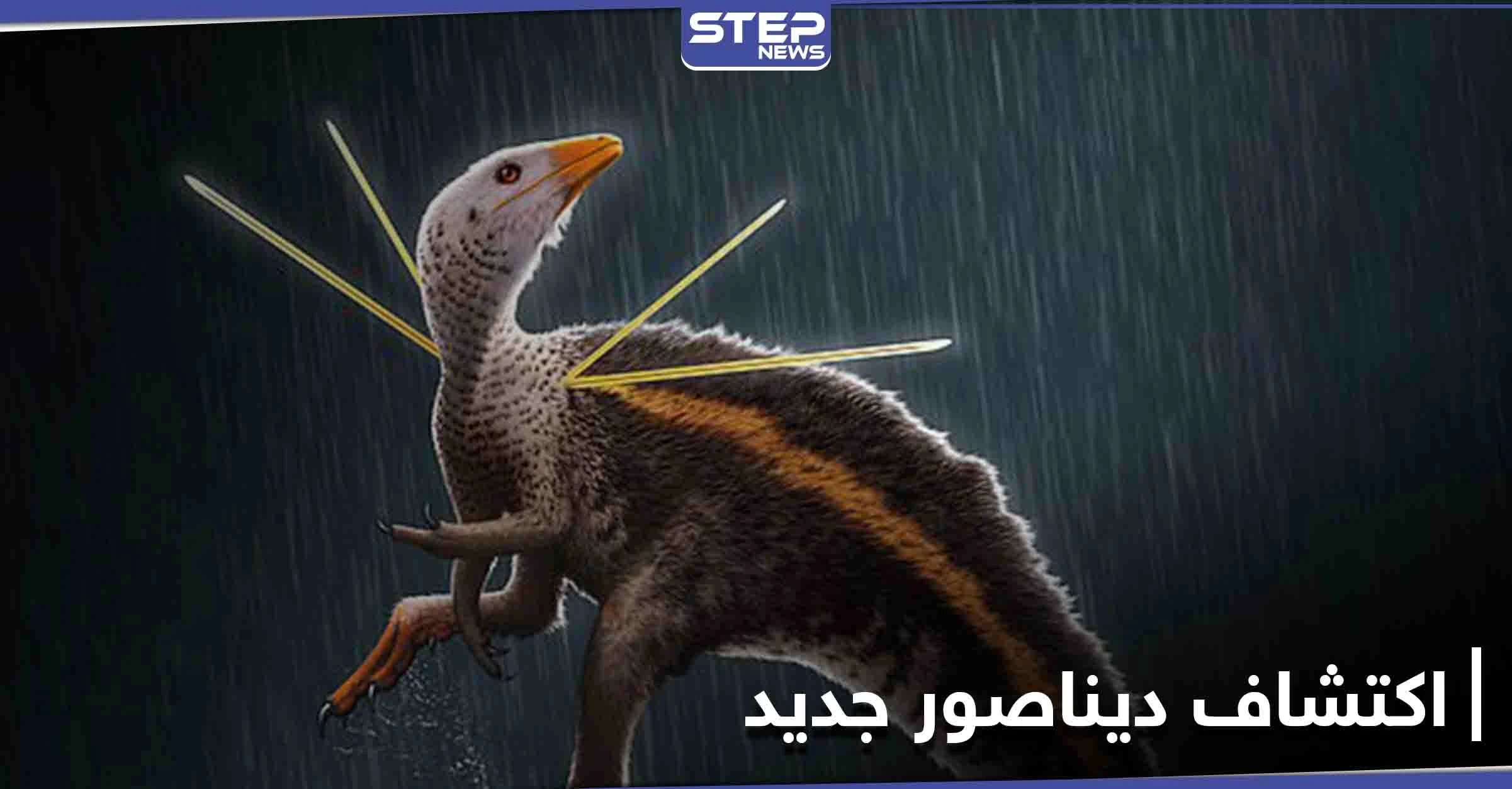 اكتشاف ديناصور بحجم الدجاجة يُكنّى بـ "سيد الرماح" مزود بإبر ويشبه الطاؤوس