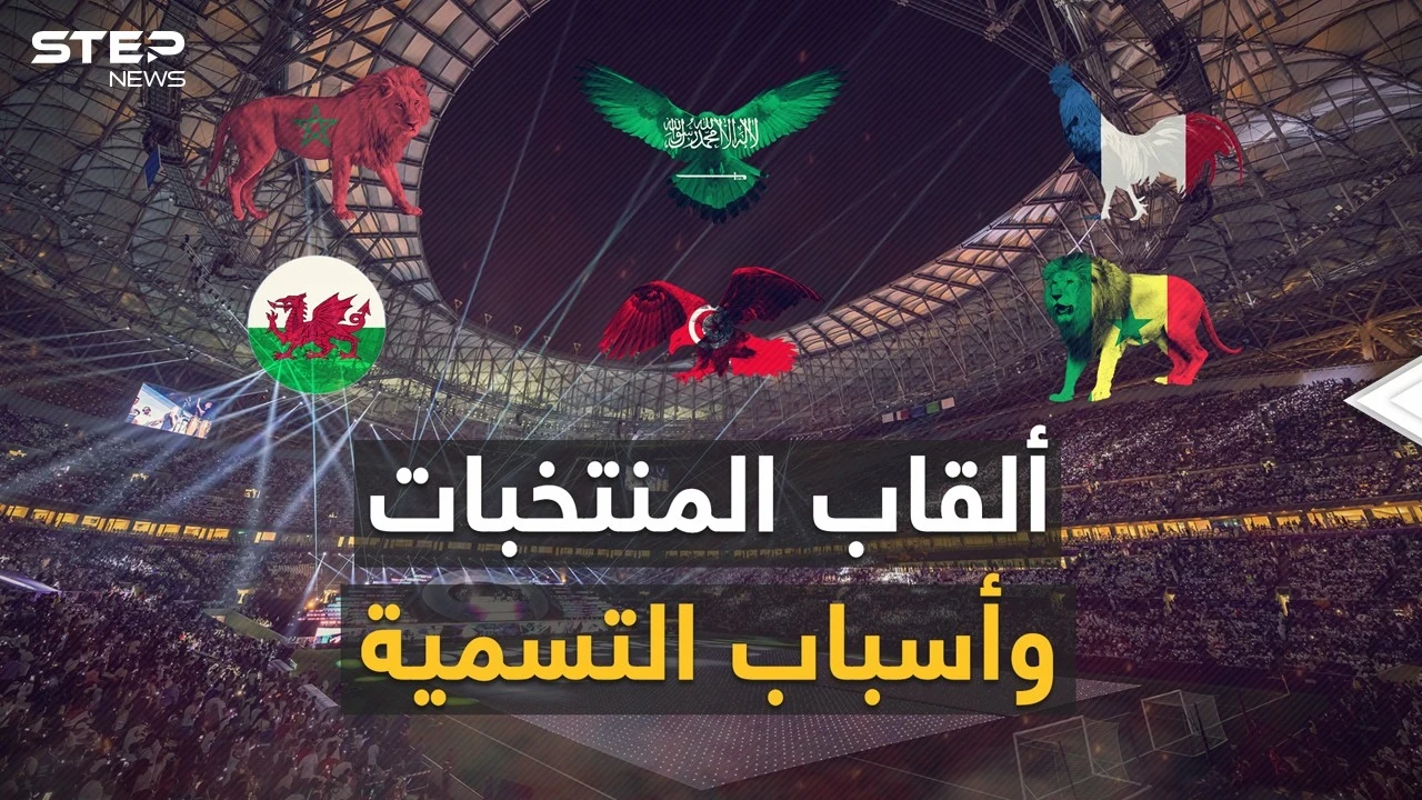 "ديناميت" و"تنانين" و"أسود" وحيوانات مفترسة أخرى.. أغرب القاب المنتخبات المشاركة في كأس العالم