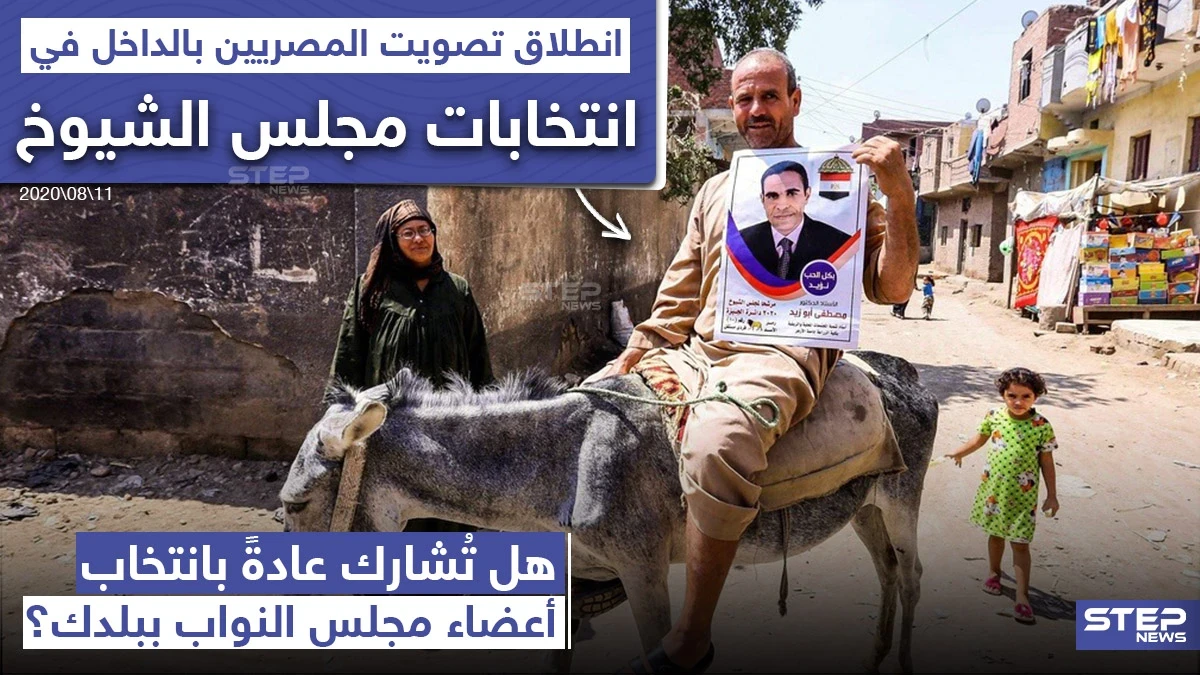 المصريون في الداخل يصوتون في انتخابات مجلس الشيوخ