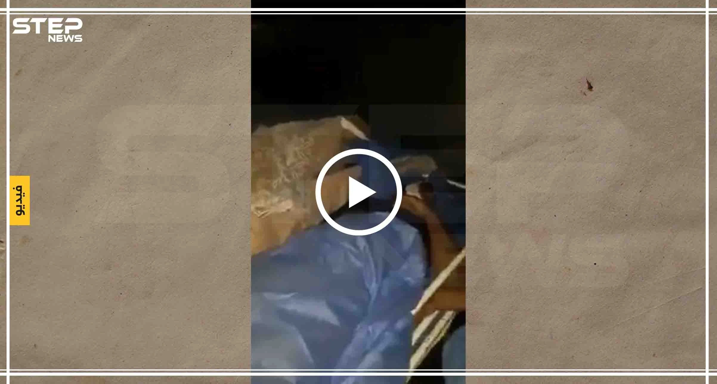 بالدهس والرمي بالرصاص.. ليلة دامية تحصد عشرات القتلى ومئات الجرحى بمظاهرات كربلاء (فيديو)