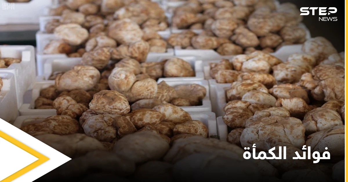 الكمأة.. فوائد صحية عديدة في ثمرة نادرة