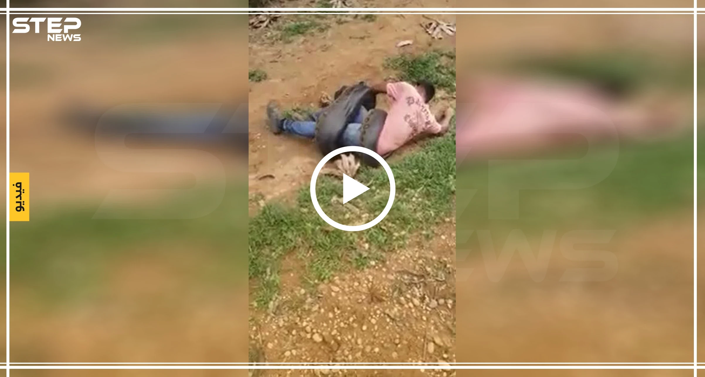 شاهد بالفيديو|| ثعبان ضخم يلتف حول شاب محاولاً افتراسه!!
