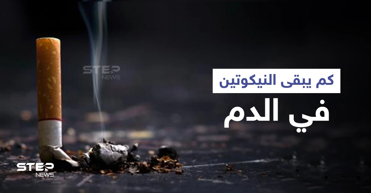 كم يبقى النيكوتين في الدم وتأثيره على جسم الإنسان إليك أهم المعلومات