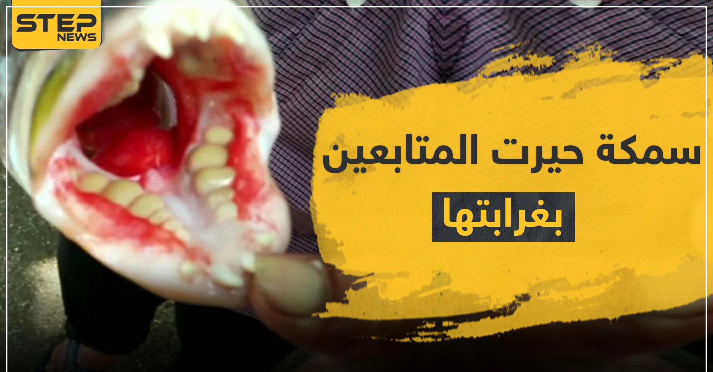 بالصور|| اكتشاف سمكة بأسنان بشرية تحيّر العلماء