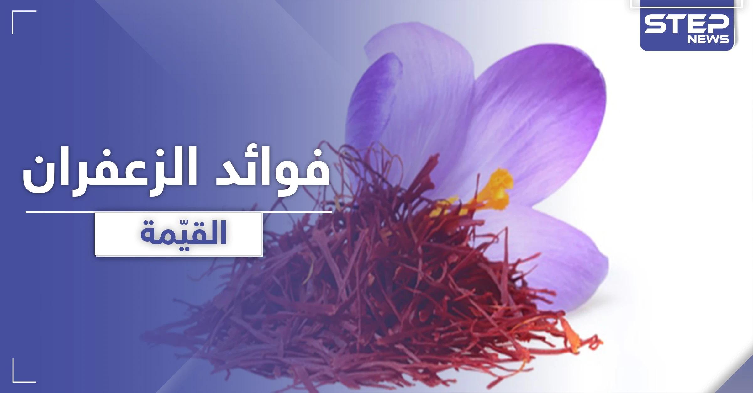 الزعفران مصدر لقيم غذائية عالية .. يحمي من تلف شبكية العين والزهايمر