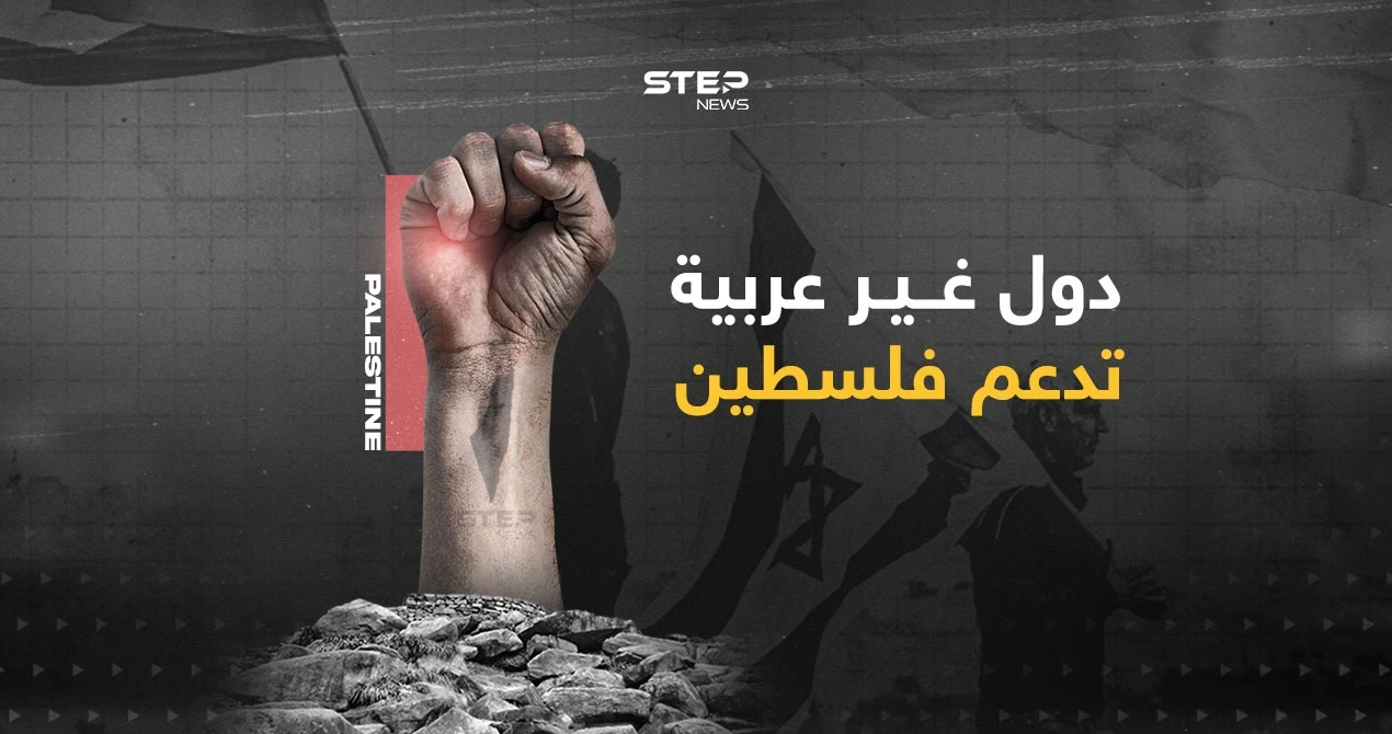 في وسط دعم من أوروبا لإسرائيل... دول غير عربية داعمة لفلسطين