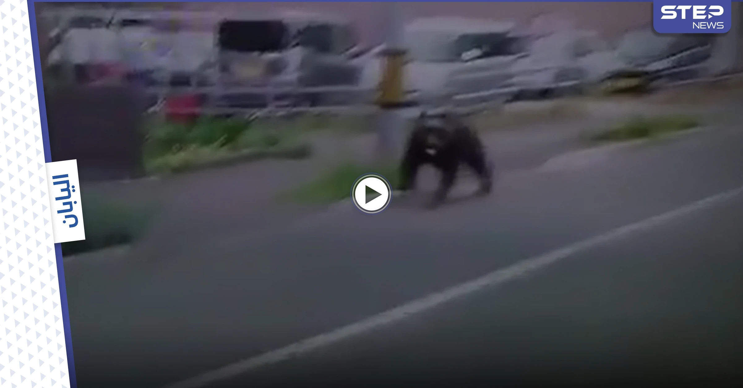 بالفيديو|| دب غاضب يقتحم معسكراً في اليابان ويصيب 4 أشخاص والسلطات تطلق النار عليه