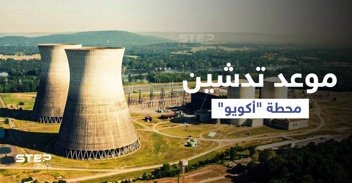 من سوتشي... أردوغان يكشف موعد تدشين أول محطة طاقة نووية في تركيا