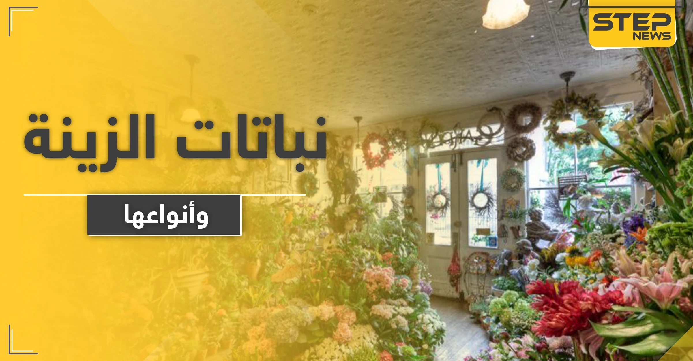 9 أنواع من نباتات الزينة سيسعدك وجودها في منزلك وحديقتك
