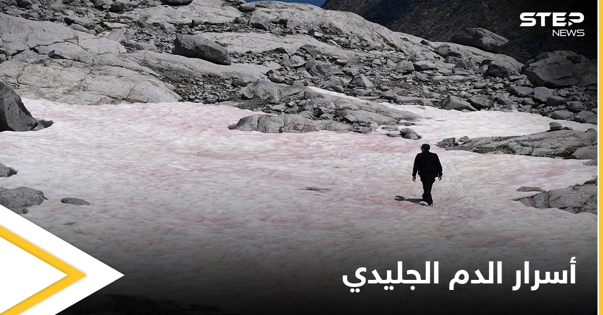 "الدم الجليدي" ظاهرة تحول الثلج إلى اللون الوردي في جبال الألب قد تغير المفاهيم العلمية حول المناخ في كوكبنا