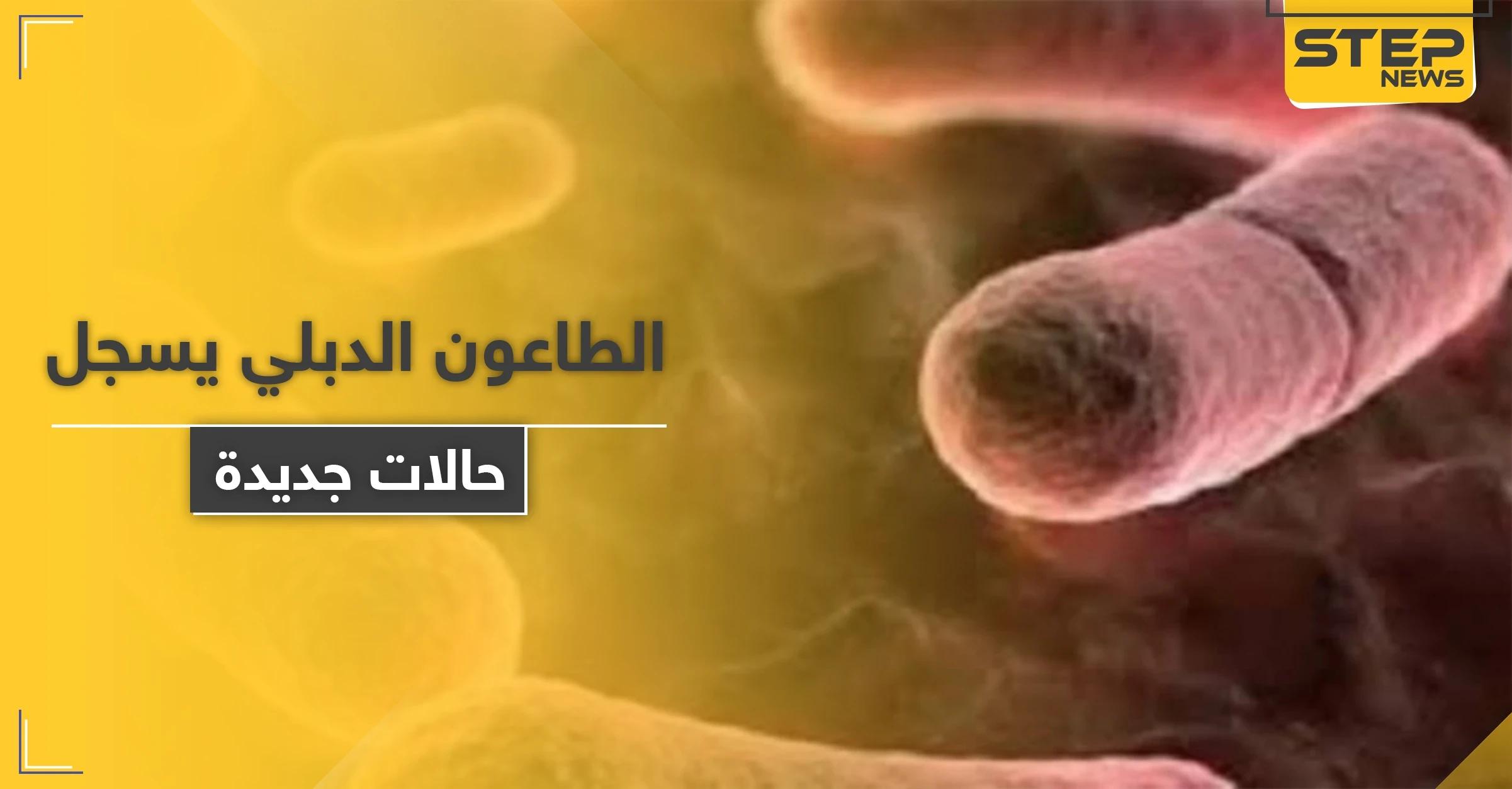 بعد الصين ومنغوليا.. الطاعون الدبلي يطرق باب أمريكا والسلطات تستعد
