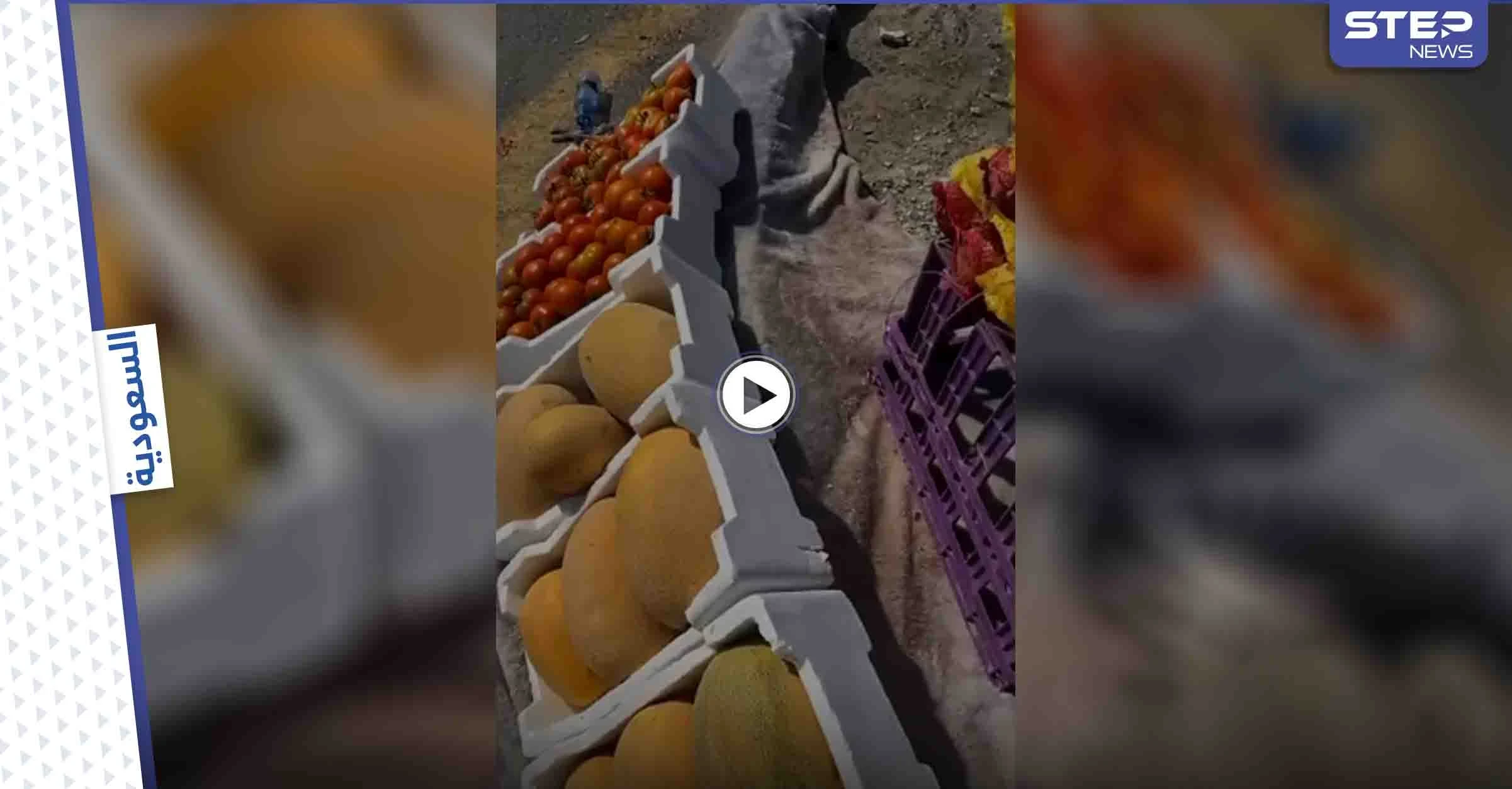 بالفيديو|| مواطن يحرج بائعة خضار مسنة ويقوم بتصويرها والتنمر عليها.. وإجراء قانوني عاجل بحقه