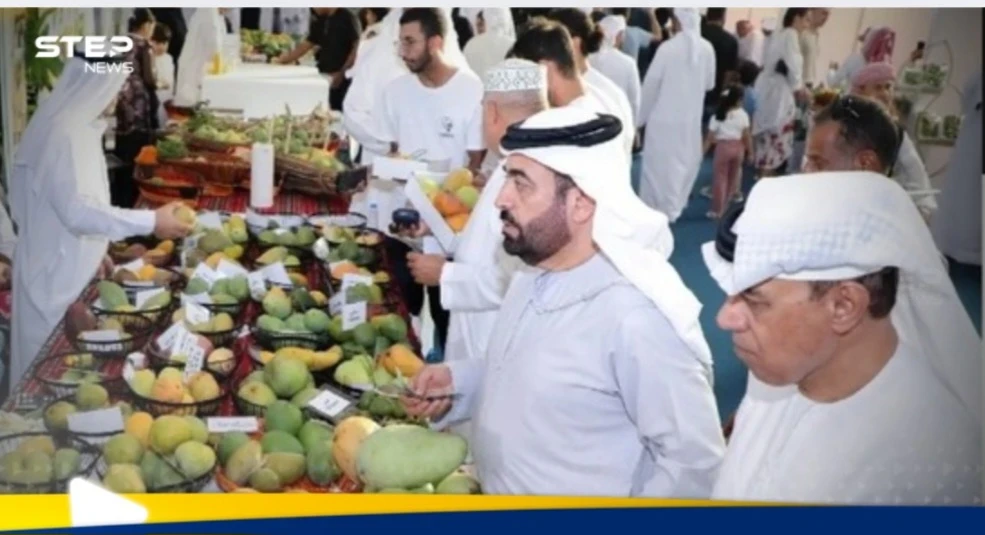 بهدف تبادل الخبرات.. الشارقة تستعد لإطلاق فعاليات  مهرجان المانجو