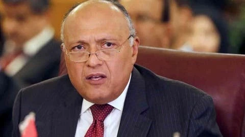 وزير الخارجية المصري يحذّر من ملء إثيوبيا سد النهضة ويعرض على غوتيرش سبل الحل