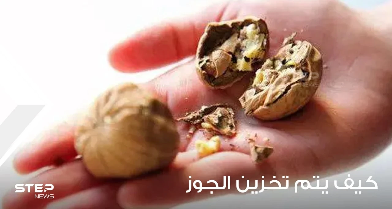 كيف يتم تخزين الجوز؟ ومتى يتم حصاده؟