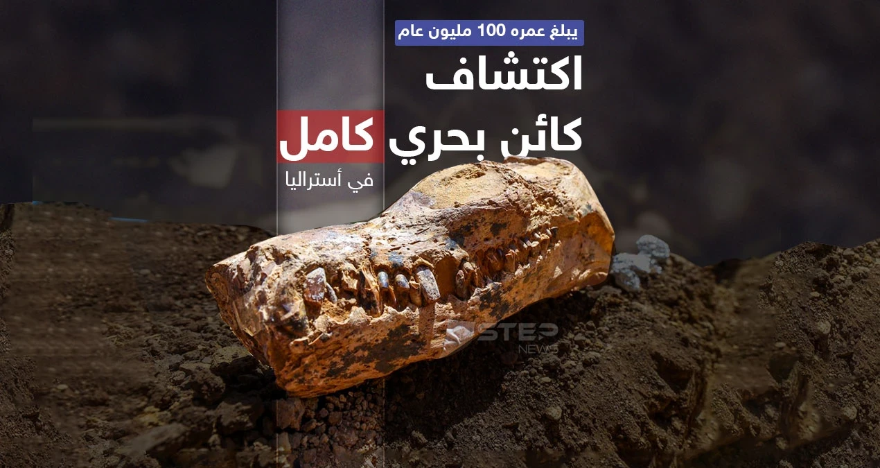 اكتشاف كائن بحري بأستراليا قدّر العلماء عمره بـ 100 مليون عام