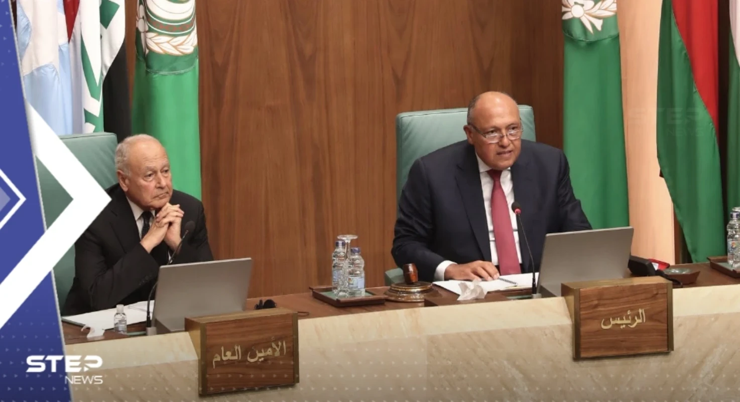 أبو الغيط: ليس هناك خارطة للتعامل مع الملف السوري