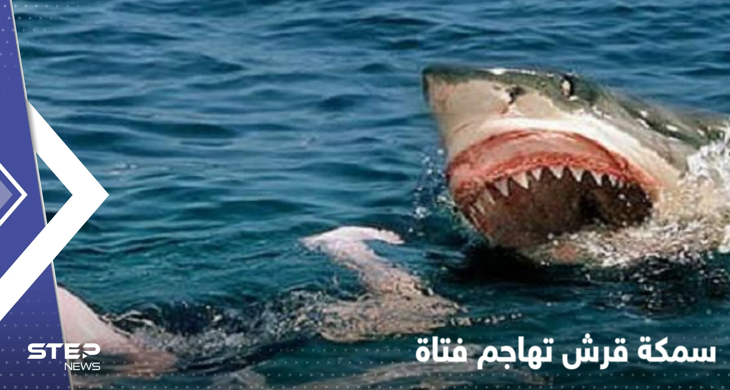 بالفيديو|| "صدمة" الناس على شاطئ استرالي بعد مهاجمة سمكة قرش لفتاة نزلت للبحر