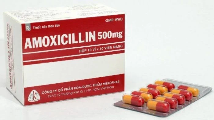 amoxicillin 500 دواعي الاستعمال والأعراض الجانبية