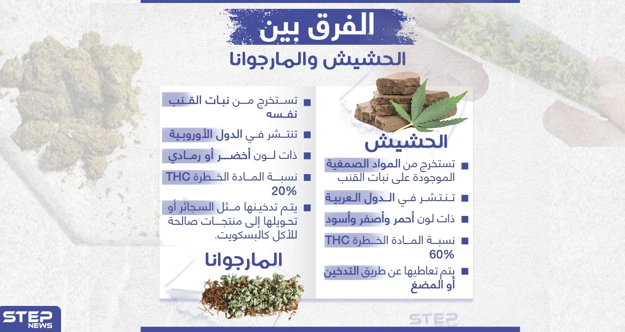 الفرق بين الحشيش والمارجوانا