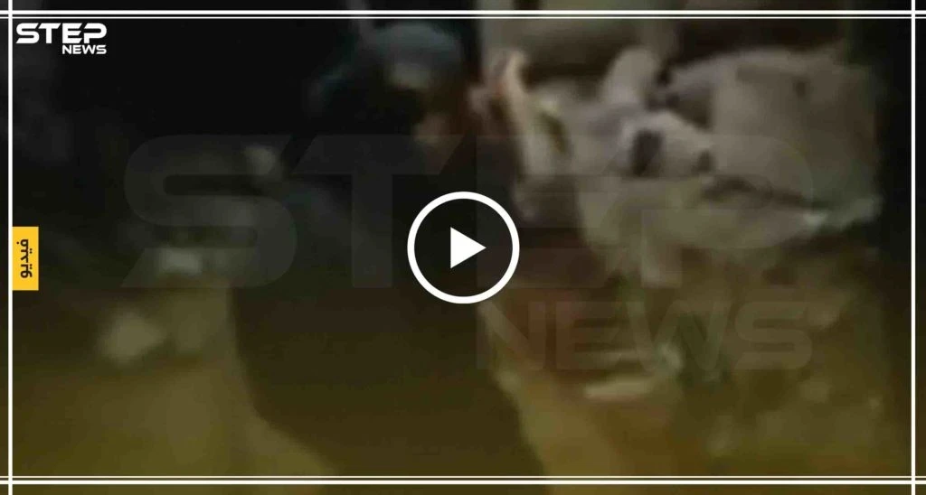 شاهد بالفيديو لحظة سقوط القذائف التي أطلقت من الجانب السوري على الأراضي التركية
