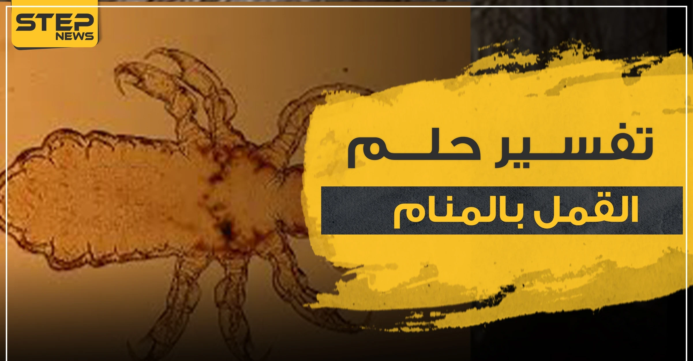 تفسير حلم القمل عند ابن سيرين وعدد من المفسرين