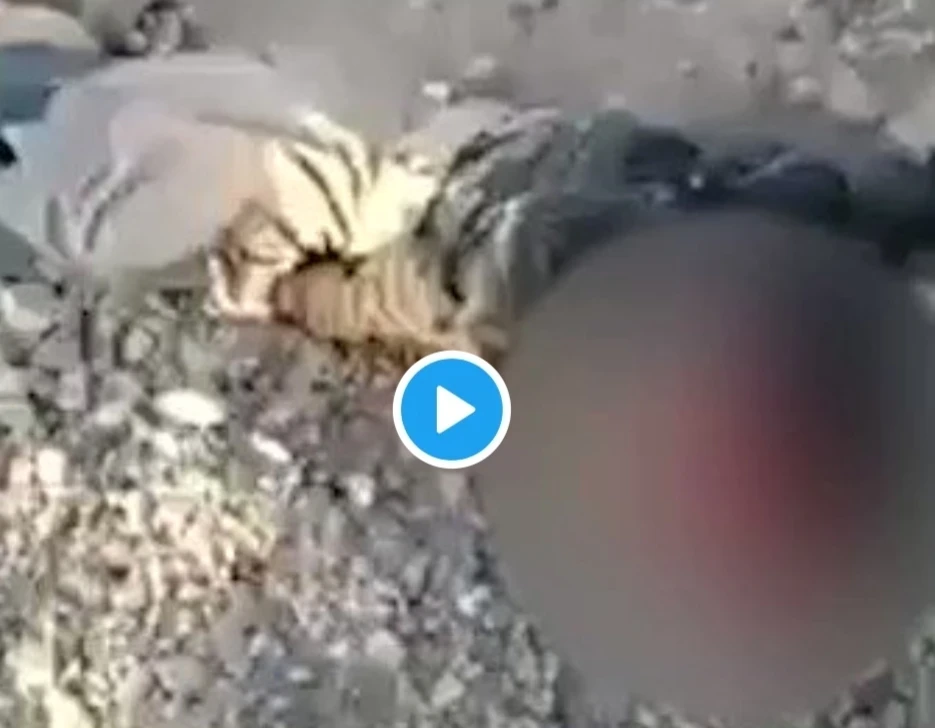 بالفيديو|| ميليشيا الحوثي تقتل طفلاً أثناء إحضاره الماء لأسرته.. والإرياني يكشف حصيلة استهداف منزل زعيم قبلي