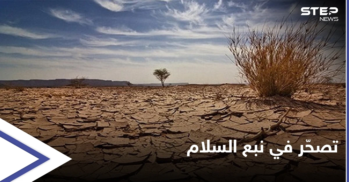 أزمة وقود تعطّل الأفران وتهدد محاصيل زراعية في مناطق "نبع السلام" شمال سوريا